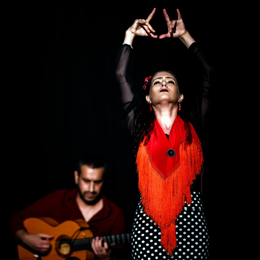 flamenco 2019