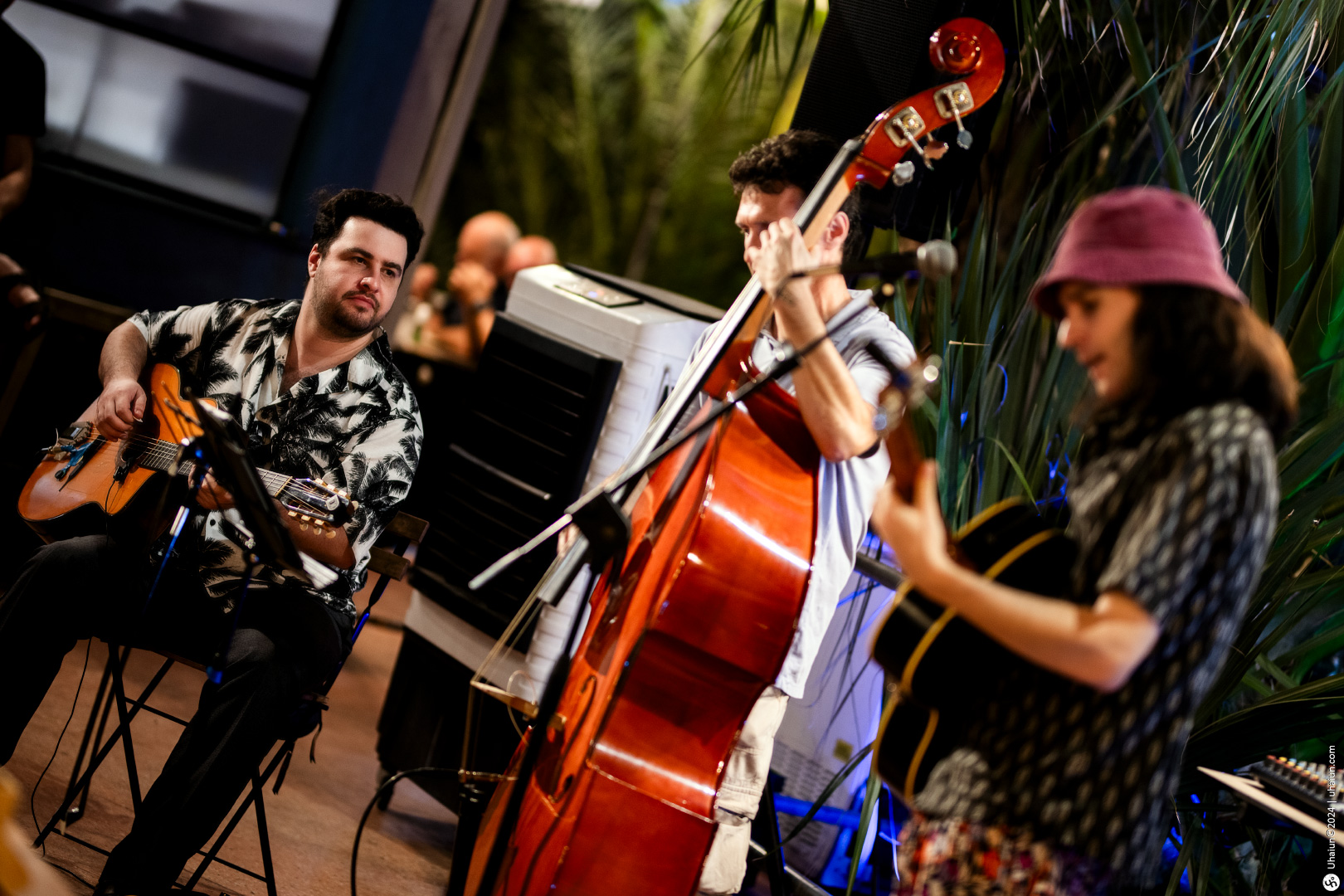 Live band musicians playing guitar and double bass