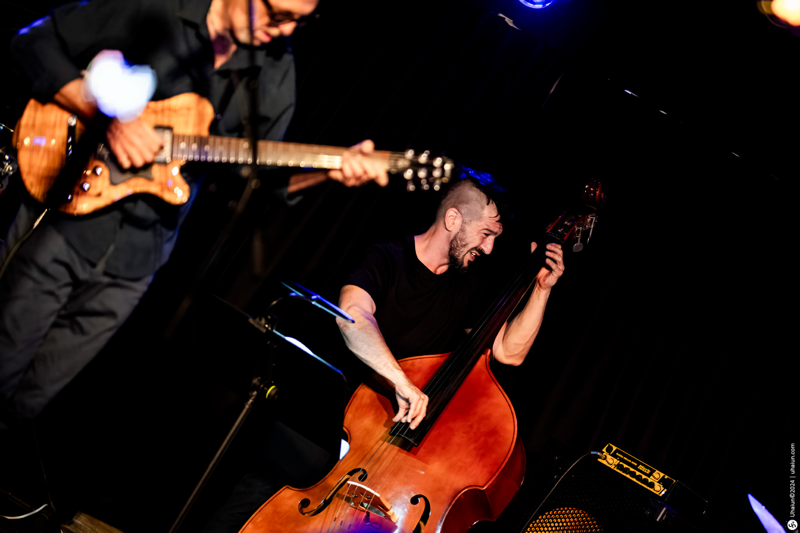 Bassist and guitarist performing live on stage