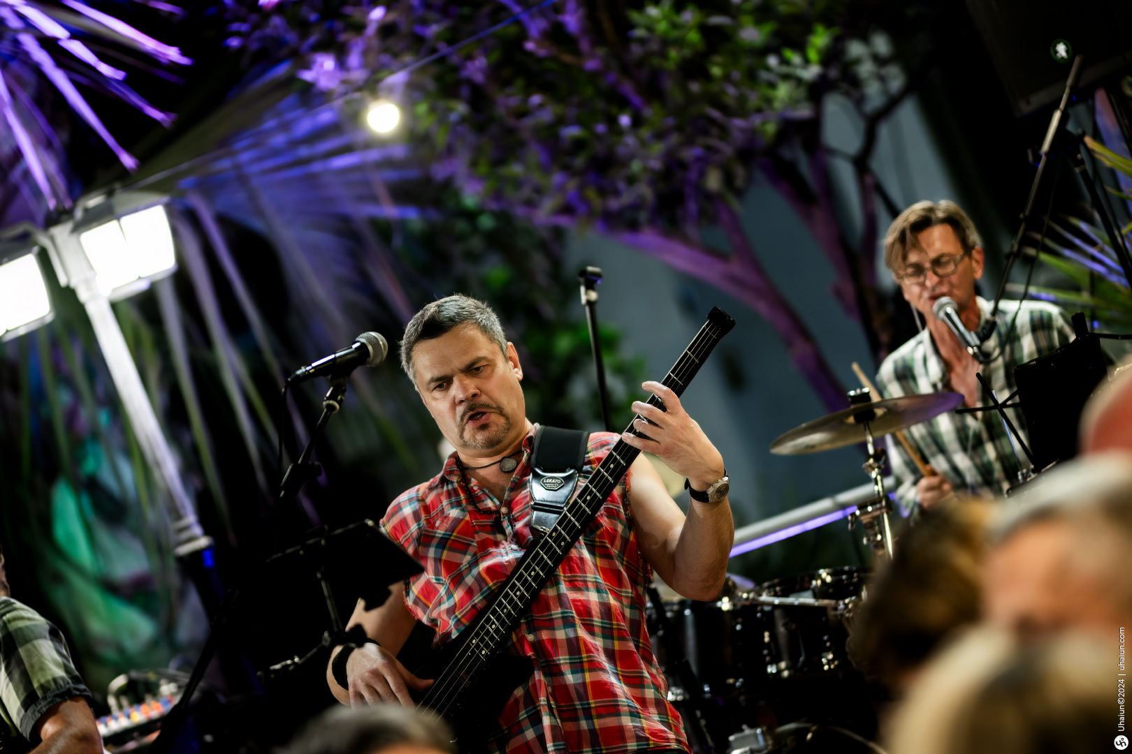 Bass guitarist performing live on stage