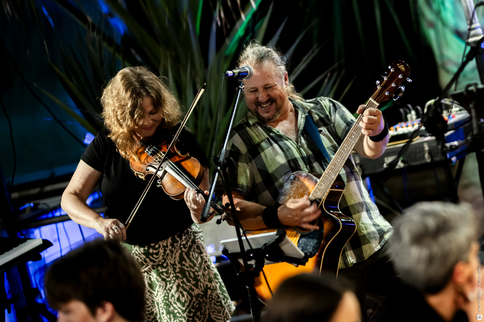 Musicians playing violin and guitar live