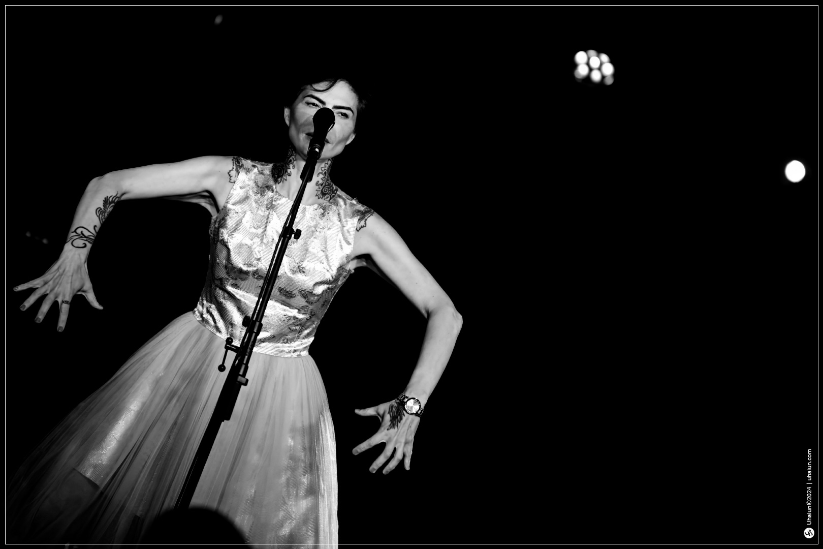 Singer performing on stage in elegant attire