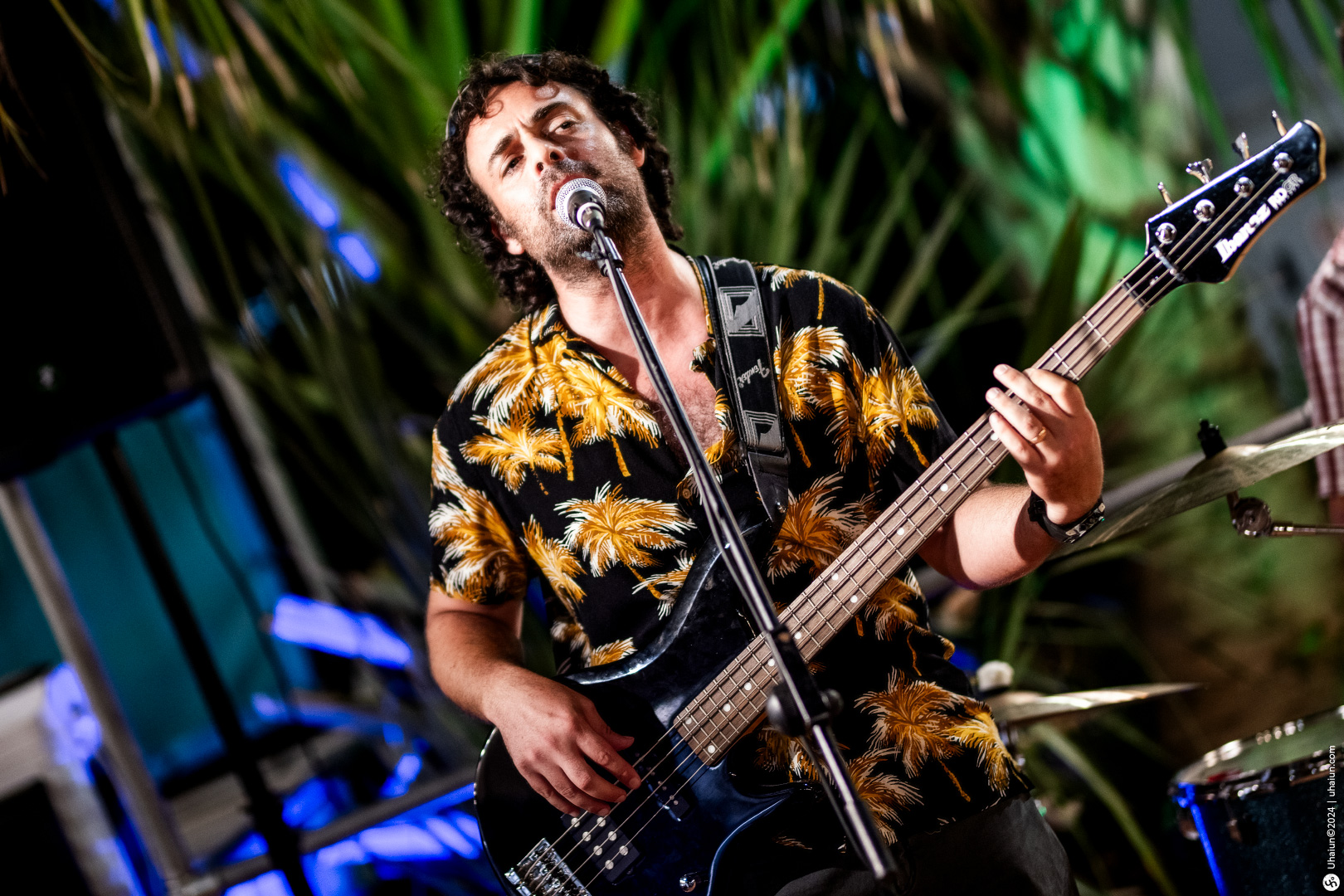Bassist performing live on stage with plants