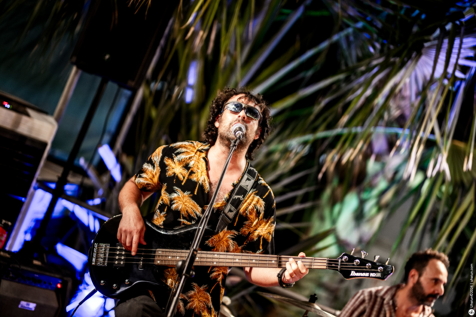 Bassist singing onstage at concert