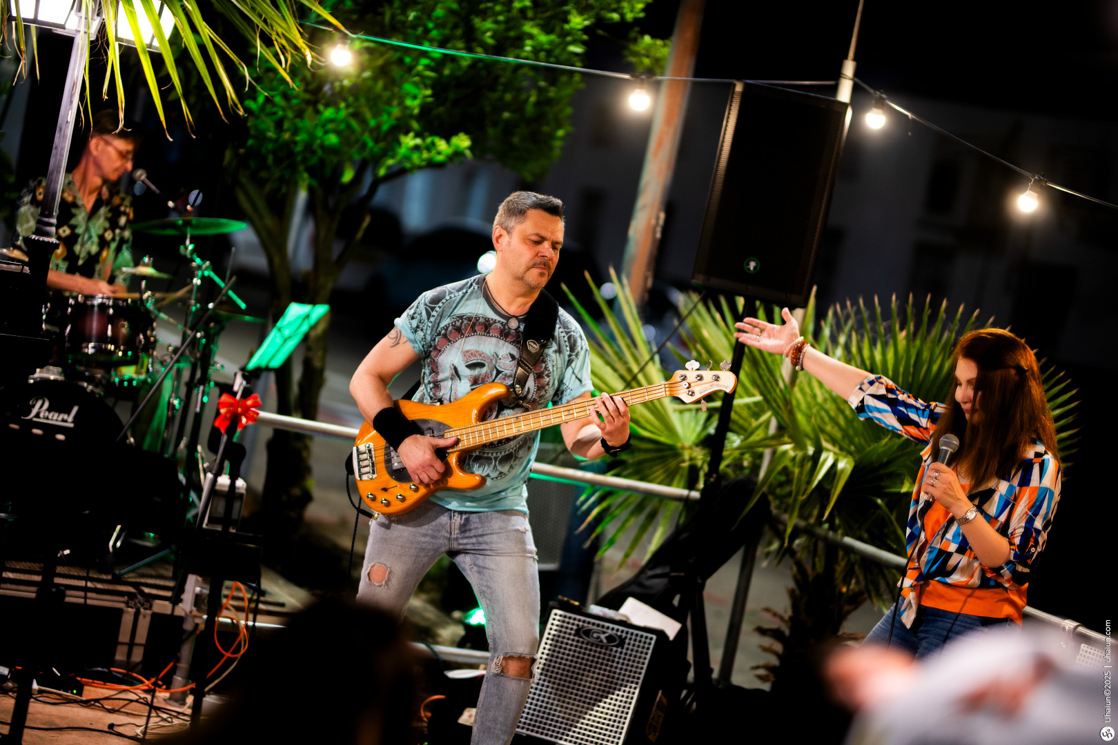 Live music performance with guitarist and singer