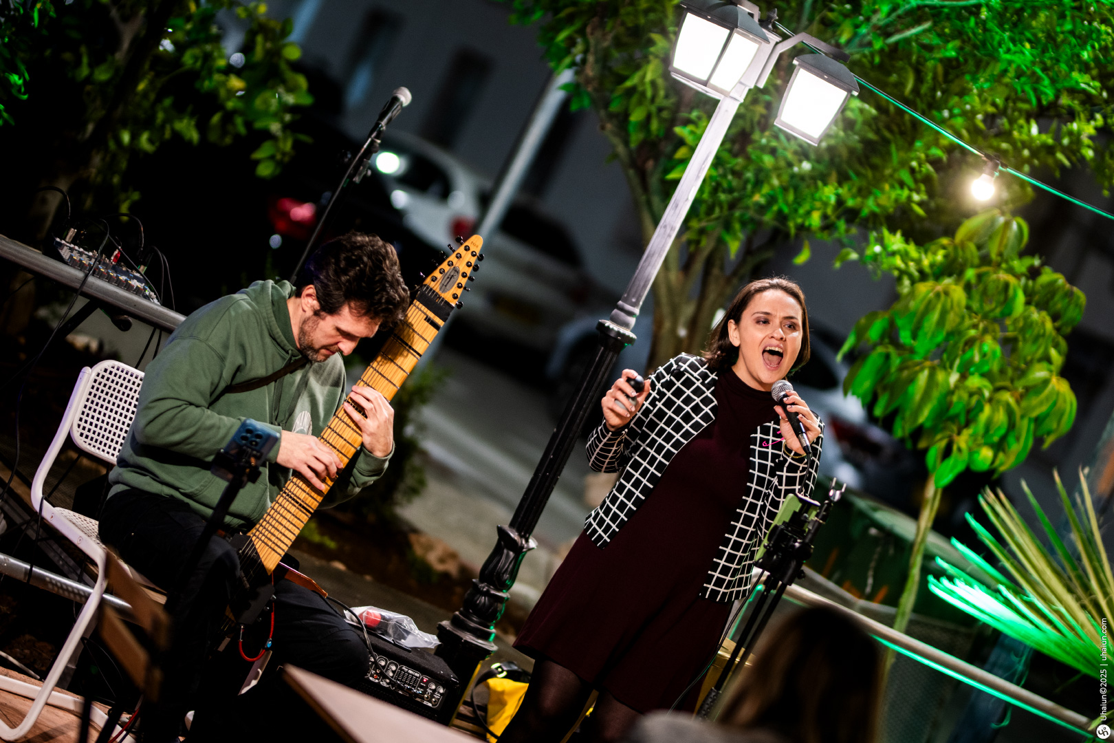 Musicians perform lively outdoor evening concert