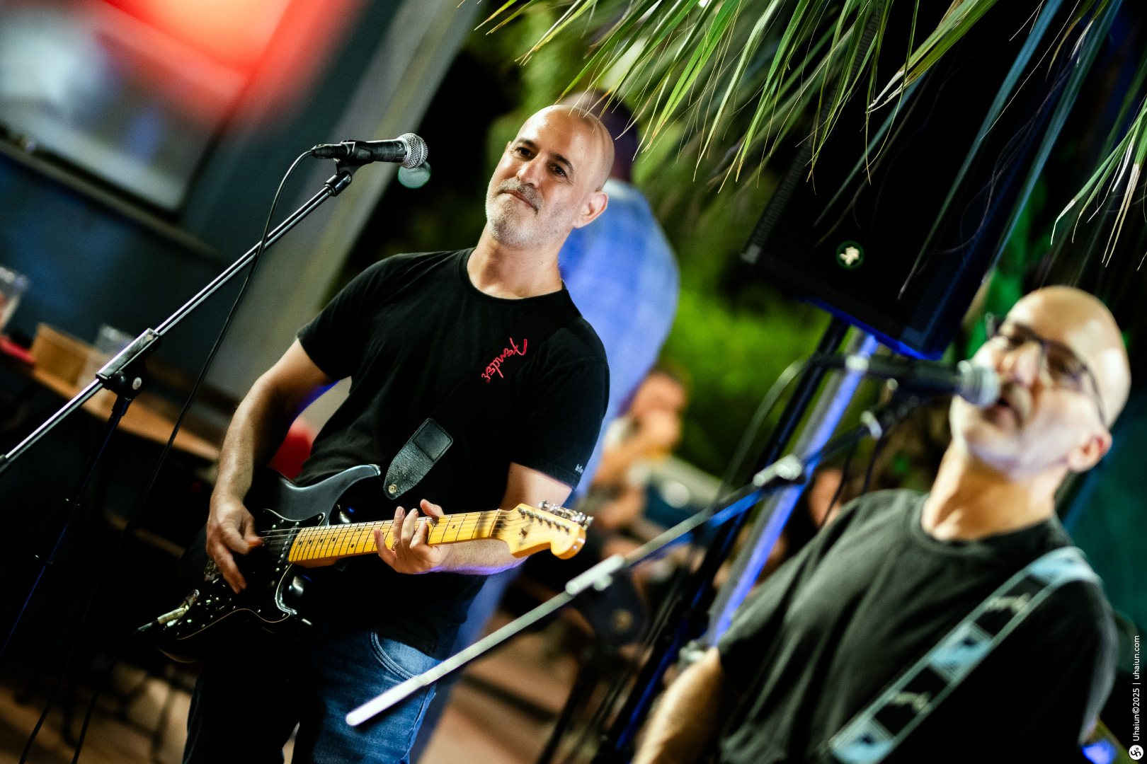 Musicians performing with guitars at outdoor concert