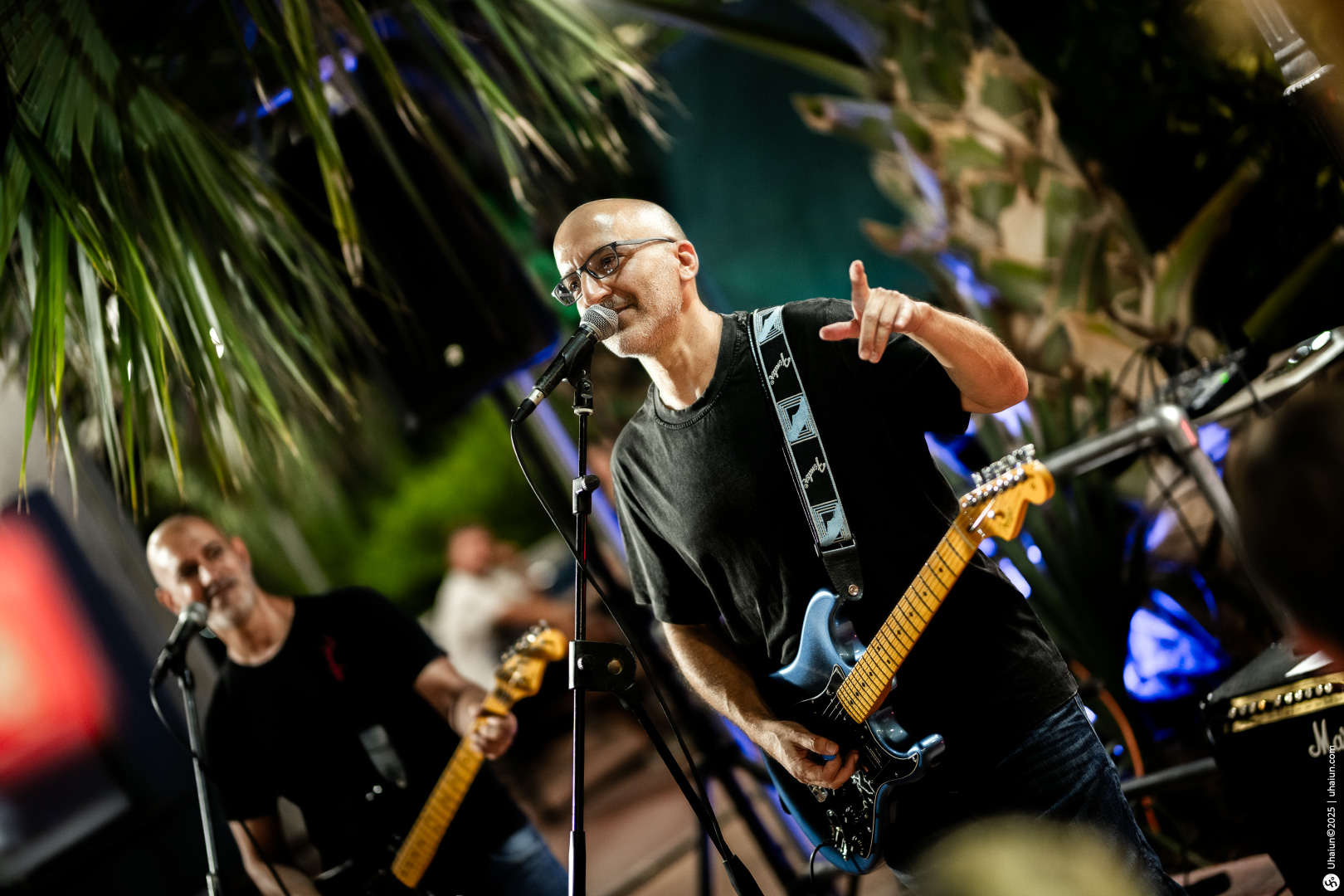 Musicians performing live under palm tree lights