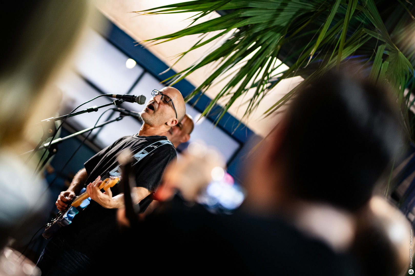 Musician performing live outdoors at a concert