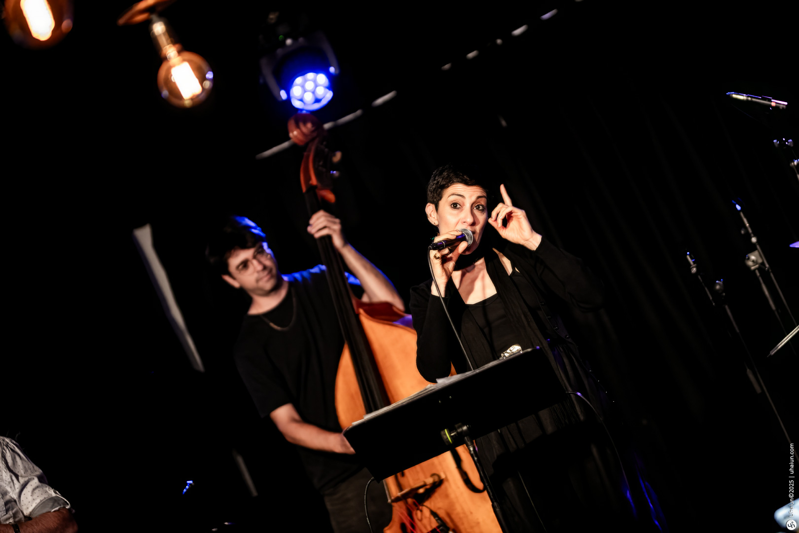 Singer performing jazz music at live concert