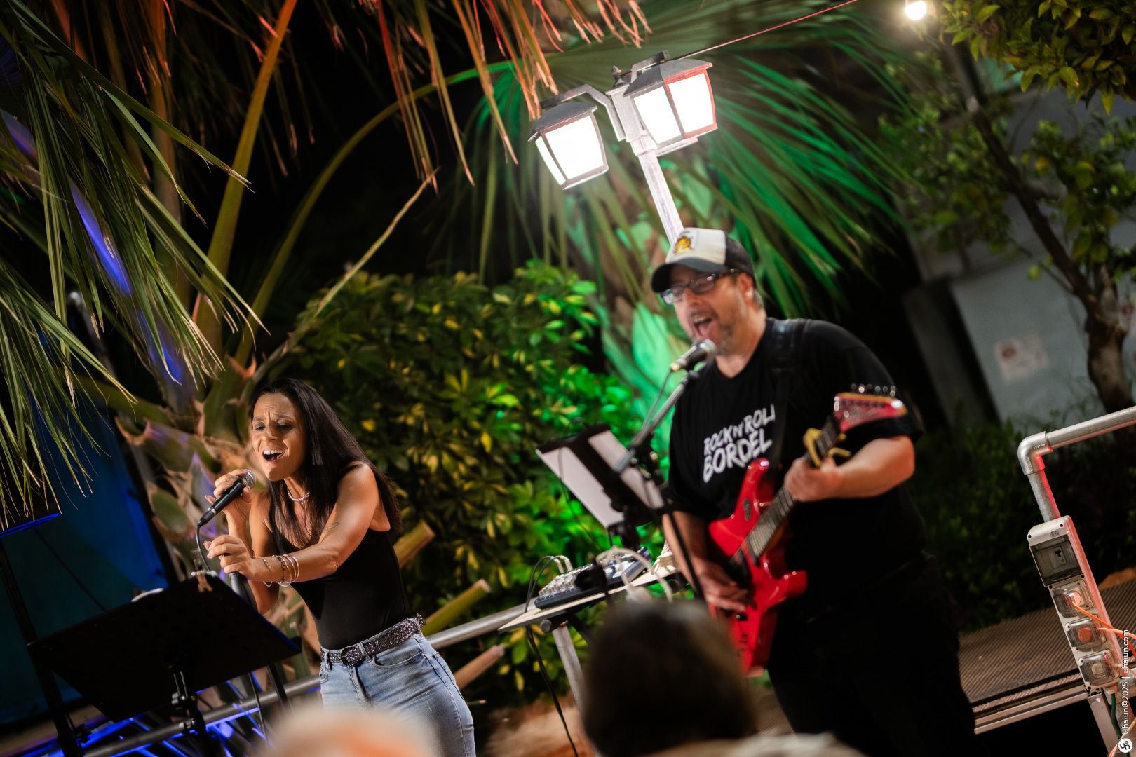 Live music performance under tropical palm trees